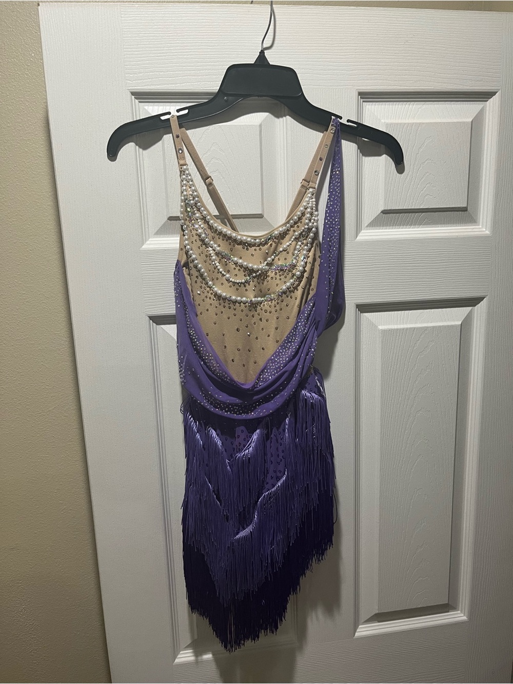 Beaded Fringe Evening Dress in Purple and Nude